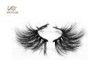 Thick Curling Hair Black Color 0.06mm 6D Lashes