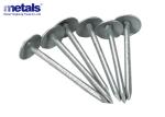 Galvanized Steel Roofing Nails With Umbrella Head For Attaching Roofing