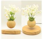 Wooden round base magnetic levitation floating bottom air bonsai plant flowerpot
