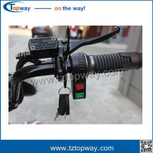 Wholesale Charging Time 4-6 Hours E-bike or scrooter(citycoco) Range Per Charge 40-60km from china suppliers