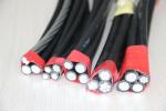 All Aluminum Conductor 2*16 Xlpe Insulated Power Cable Abc Cable