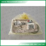 3943450 5257643 Exhaust Valve Seat Insert for Cummins engine ISF3.8 ISDE Valve