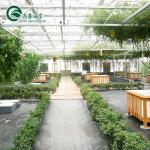 Vegetable Fruits Flowers Tomatoes PC Sheet Greenhouses for Eco-Conscious