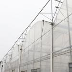 Multi Span Agricultural Film Greenhouse With Super Strong Resistance