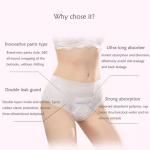 OEM ODM Disposable Menstrual Pants for Breathable Lady Period Pants Leak Proof