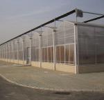 20GP 40GP 40HC Span Multi PE Film Plastic Agriculture Greenhouse Kit for Multi