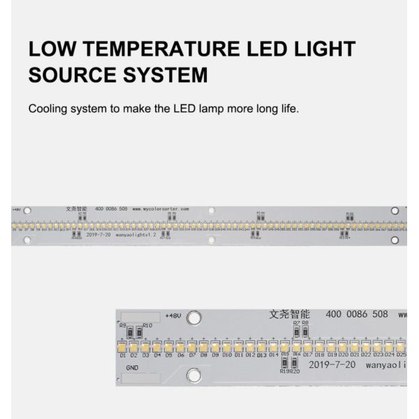 600mm Belt Width High Capacity Juniper Color Sorter Dried Mulberries Blueberry Grain Color Sorting Machine