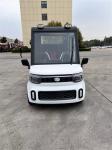 White Handicap Electric Car Leisure Electric Handicap Vehicles 35km/H