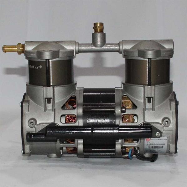 310W Oil Free Medical Air Compressor GSE Compressor For 5L Oxygen Generator 230V