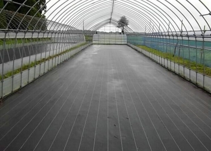 Black Grass Barrier Landscape Ground Fabric Ground Cover Mesh Weed Mat Anti Grass Control Cloth