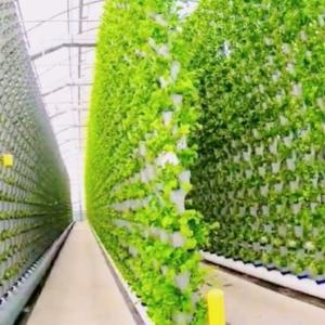 Wholesale Hydroponic Seedling Facility Indoor Shading Film Greenhouse with Outdoor Shading from china suppliers