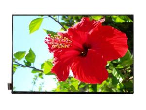China Mipi Interface 10.1 Inch IPS Lcd Display 1280x800 For Tablet on sale