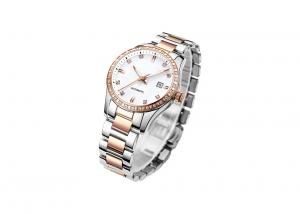 Female Stainless Steel Automatic Watch 5 ATM Water Resistant  Super Luminous