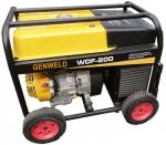Portable 200A Gasoline Engine Driven Welder (MMA, TIG, Cellulose-down welding)