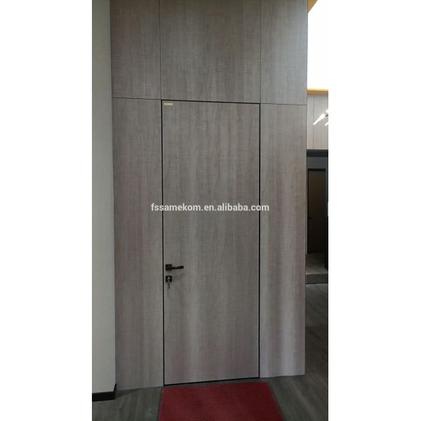 Italy Desgins Cool Aluminum Frame Hidden Front Doors System Solution in Houses