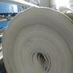 PP PET Geotextile for Landfill Project Non Woven Geo Fabric Needle Punched