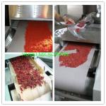 Continuous Tunnel Microwave Drying Equipment For Chili / Spice Powder