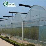 Ventilation Vents for Optimal Growth of Tomatoes and Other Vegetables in