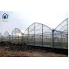 Buy cheap Agricultural PE Film Multi Span Greenhouse With Metal Frame 8m / 9.6m Span Width from wholesalers