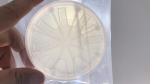 Colorless Transparent Silicon Carbide Wafer High Purity Silicon Carbide SiC