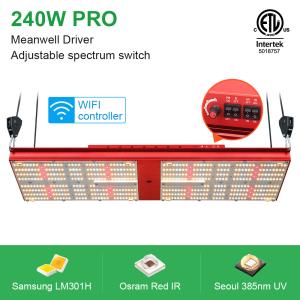 Wholesale 2x4 Hydroponic 385nm UV Grow Lights Quantum Board LM301H 240W V4 from china suppliers