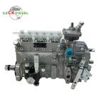 Fuel Injection Pump 13053063 13053062 13022616 B6AD548G-R BH6PN120R For WP4 WP6
