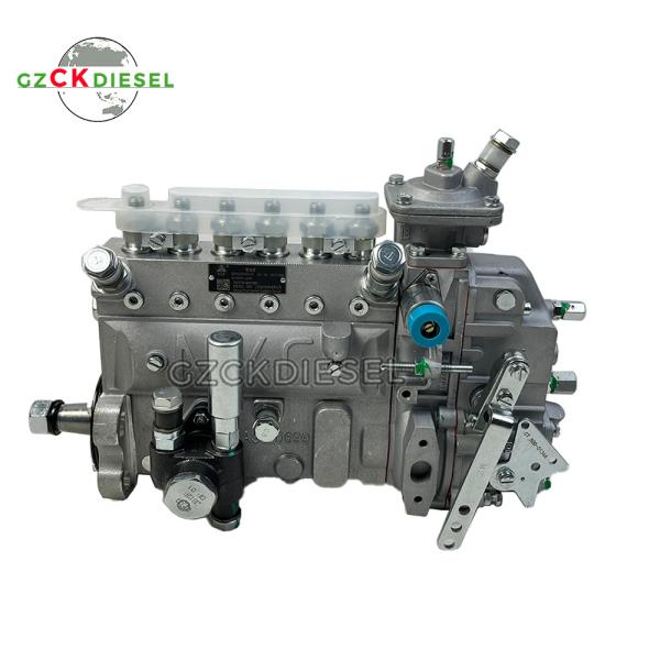 Fuel Injection Pump 13053063 13053062 13022616 B6AD548G-R BH6PN120R For WP4 WP6