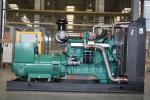 ISO9001 Certificate Gas CPG Generator Set CNG LNG LPG Fuel