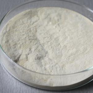 Wholesale 1200000U/G 2400GDU Bromelain Powder Protease Soluble In Water from china suppliers
