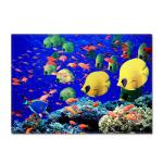 Animal New Cartoon Large Carpet Source Wholesale Feather ins Style Bedroom Floor