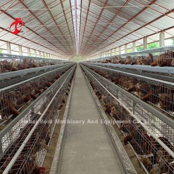 Layer Farming Use 2 Tier Battery Cage Poultry House Hot Dip Galvanized Sandy