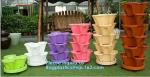 Commercial Aquaponics Growing Systems Agricultural Greenhouse Indoor Hydroponics