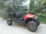 Single Cylinder Gas Utility Vehicles 2X4 Driveline Type 250cc 4 Stroke
