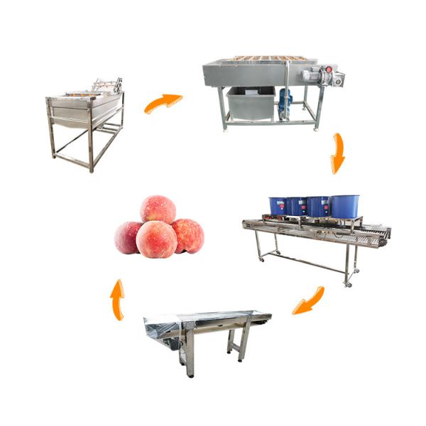 Peach Cleaning Drying Machine Vegetable Cutter And Washing Machine Line