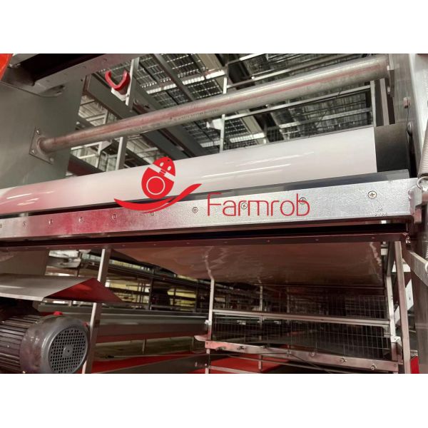 30000 Layer Chicken Cage System Smart System