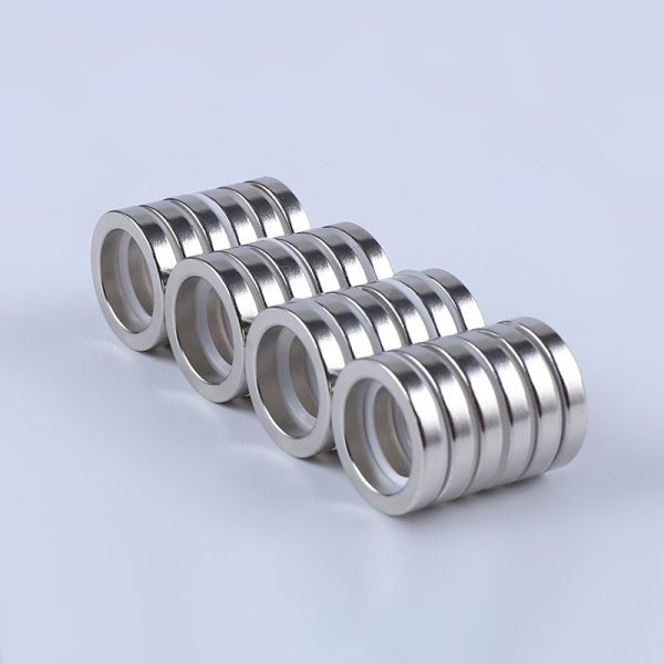HSMAG Radially Oriented Ring Magnet XG20 XG18 Permanent Magnet Ring