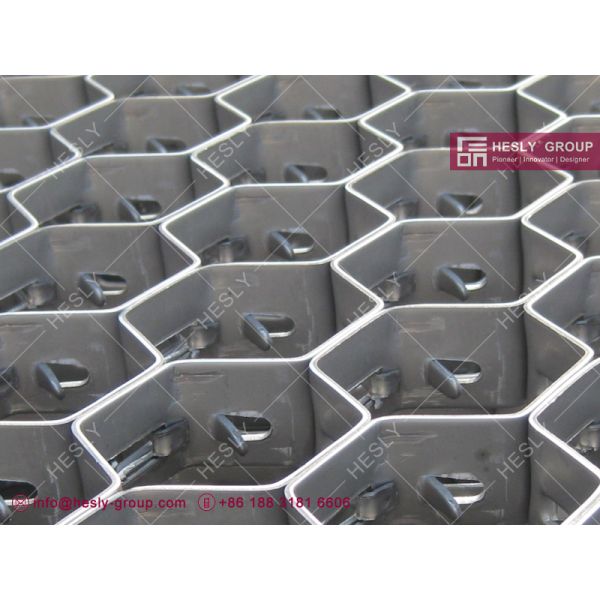 carbon steel hexmesh China supplier