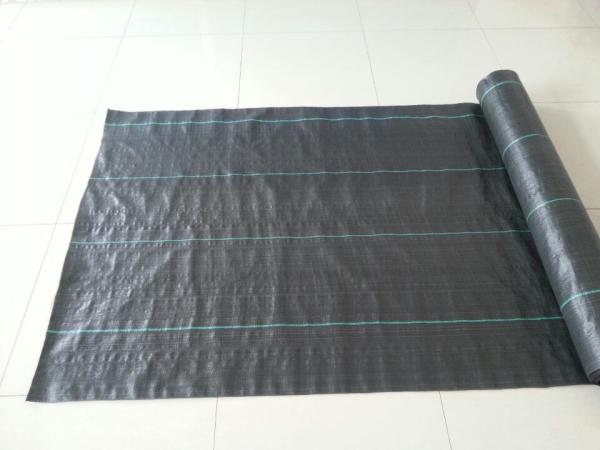 90gsm Polypropylene Ground Cover Anti Weed PP Woven Fabric Weed Control Ground