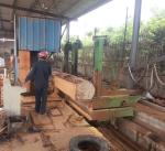 Diameter 1000mm Vertical Band Sawmill Timber Cutting Machine Vertical Bandsaw