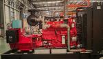 Commercial Power Plant 120kw Soundless Gas Generator for Industrial in Russian