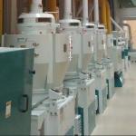 100-120TPD Complete Sets Of Rice Milling Plant