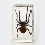 150g Early Education Resin Craftwork For Children Model Toy