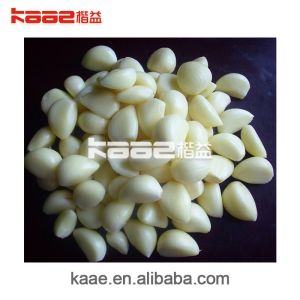Intelligent Garlic peeler/Garlic skin removing machine/garlic peeling machine