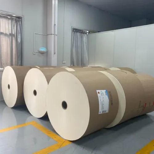 PE Coated Raw Material Food Packing Paper Roll With 500~1500mm Width For Paper Cup Fans