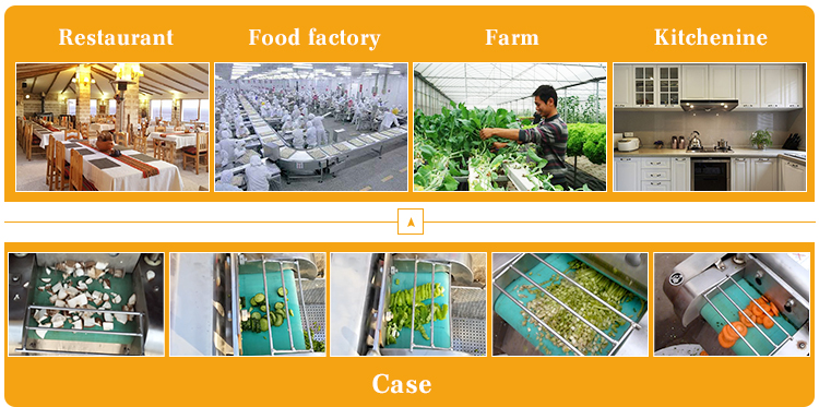 Hotels' Perfect Solution Joyshine Salad Cutting Machine for Fast Vegetable Cutting