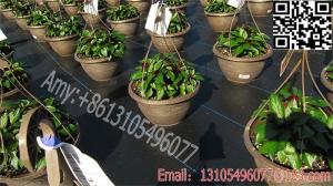 Wholesale black plastic weed barrier PP ground cover fabric /pp woven silt fence fabric from china suppliers