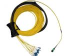 12 Core MPO Fiber Optic Patch Cord Single Mode And Multimode Fiber Optic Cable