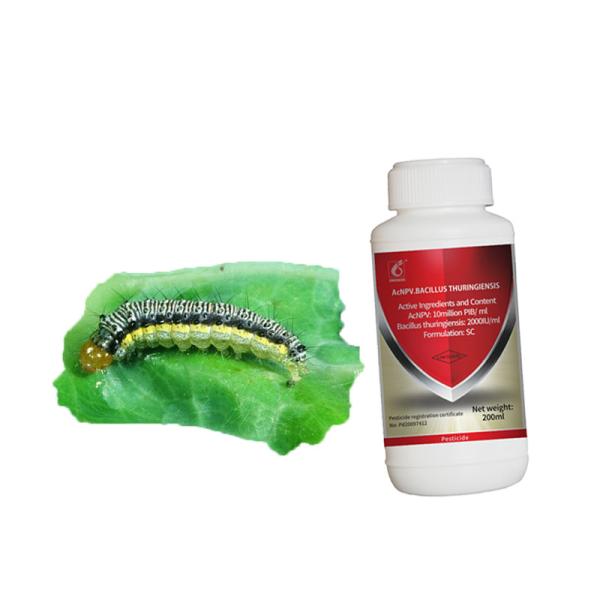 Spodoptera Frugiperda Biological Insecticides SC Solution Effective Safe