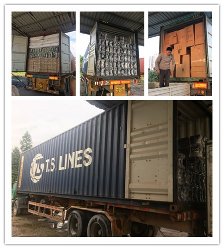Wholesale Reliable Shenzhen / Guangzhou / Hong Kong /Foshan Shipping Agent from china suppliers