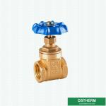 Customized Brand BSPT Heavier Style Brass Gate Valve Double Female Heavier type